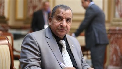 نائب عن السويس يقدم طلب إحاطة بسبب انتشار السمك الصيني