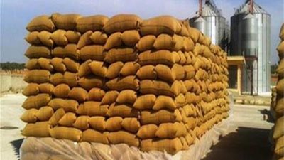 غدا.. صرف الأقماح المخصصة للمطاحن لإنتاج الخبز خلال إجازة العيد