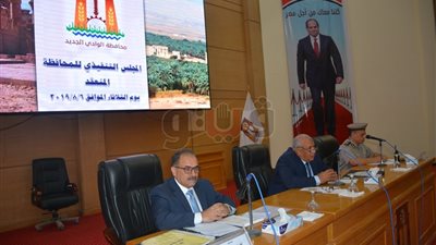 تخصيص مساحات من الأراضي لإنشاء مشروعات خدمية بالوادى الجديد