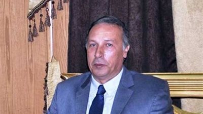 تحرير 22 محضرا تموينيا وإشغال طريق بالوادي الجديد