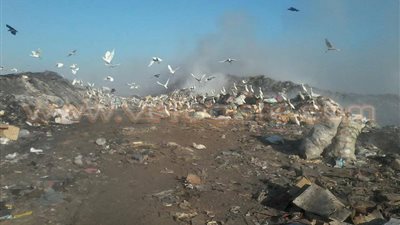 مقلب قمامة يهدد حياة 370 ألف مواطن بالشرقية