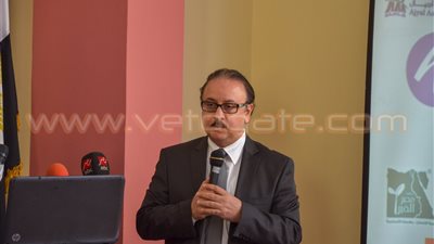 رسميا.. مصر تبدأ العمل بالجيل الرابع للمحمول «4G» نهاية العام