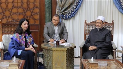 الإمام الأكبر: مستعدون لزيادة التعاون مع البوسنة والهرسك