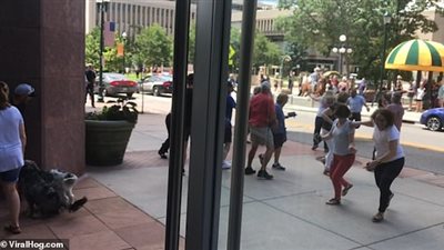 فرار بقرة يثير ذعر المارة بالولايات المتحدة (فيديو وصور)