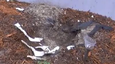 انفجار حمام زوجين بسبب البرق (صور)