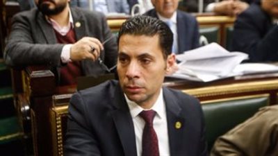 حساسين: تضامن العالم مع مصر ضد الإرهاب صفعة على وجه نظامي قطر وتركيا