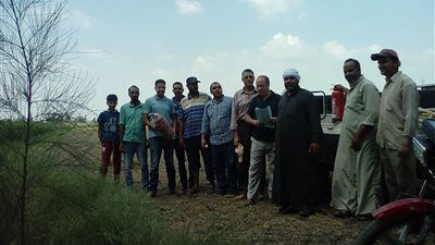 البيئة تخصص 16 موقعا بكفر الشيخ للعاملين بكبس قش الأرز (صور)