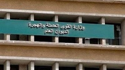 القوى العاملة تطمئن على أحوال 700 مصري في 