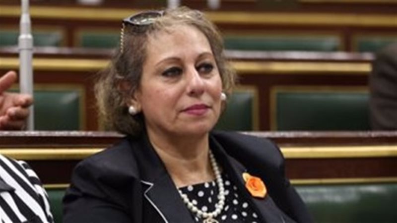 النائبة ميرفت إلكسان،