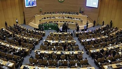 نواب بالبرلمان الأفريقي: الإرهاب كالسرطان.. وحوار الكراهية بـ