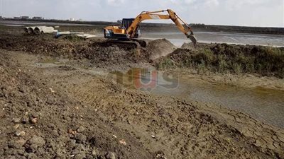 إزالة 200 فدان تعديات على الأراضي الزراعية ببورسعيد (صور)