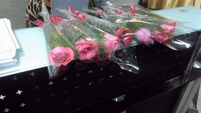 الورود والدباديب تملأ جامعة القاهرة في عيد الحب (صور)