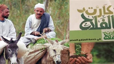 زراعة أسيوط : وصول 111 ألف كارت ذكى لتوزيعها على الفلاحين