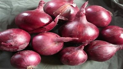 ارتفاع صادرات مصر الزراعية لـ أكثر من 4.6 مليون طن والبصل يحتل المركز الثالث