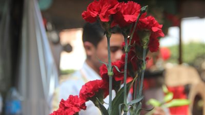 25 صورة ترصد محال الهدايا والورد في عيد الحب