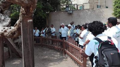 إقبال كثيف على زيارة شجرة مريم بالمطرية 