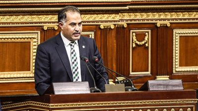 وكيل النواب يطالب بمراعاة البعد الاجتماعي بأراضي الخريجين