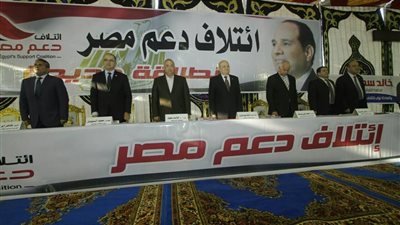 محافظ الشرقية وطاهر أبو زيد في مؤتمر دعم مصر (صور)