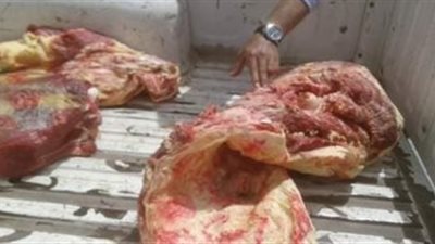 محافظ الجيزة: حملات لضبط اللحوم والسلع غير الصالحة للاستهلاك خلال العيد