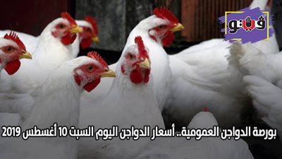 بورصة الدواجن العمومية.. اسعار الدواجن اليوم السبت 10 أغسطس 2019