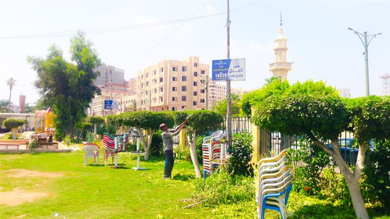فيتو