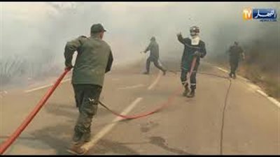 حرائق ضخمة في مناطق مختلفة بالجزائر (فيديو)