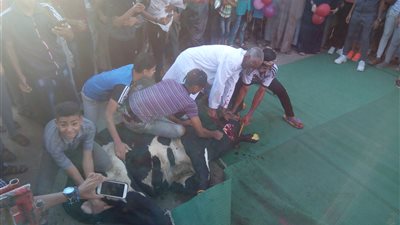 محافظ الوادي الجديد يشهد ذبح الأضاحي عقب صلاة عيد الأضحى