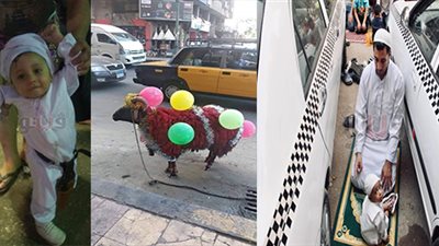 أغرب مشاهد احتفال المصريين في عيد الأضحى.. «بوحة» أصغر جزار في مصر بالسيدة زينب.. تزيين خروف بالإسكندرية لجذب الزبون.. الأزهر يحتضن جنسيات العالم.. وأغرب أماكن الصلاة على سيارة نصف نقل بحلوا