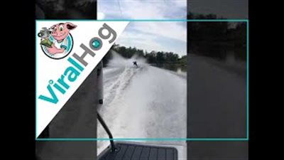 لحظة اصطدام متزلج على الماء بسمكة قرش (فيديو)