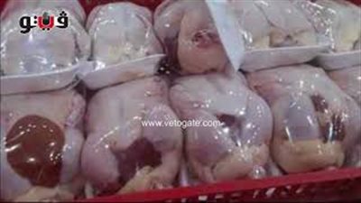 «التموين» تحذر المواطنين من شراء الدواجن المجمدة مجهولة المصدر (صوت )