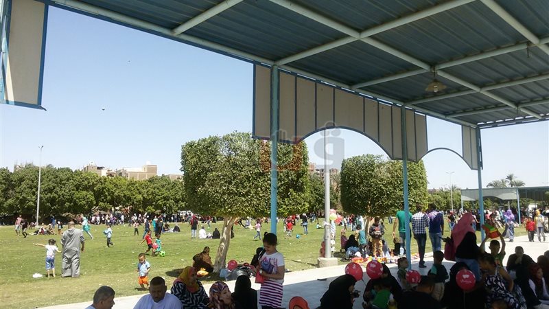 فيتو