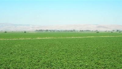 شرطة الإسماعيلية تعيد 50 فدانا لسيدة بمدينة فايد