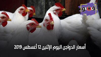 بورصة الدواجن الرئيسية.. اسعار الدواجن اليوم الإثنين 12 أغسطس 2019