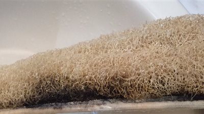 هاني الناظر يحذر من استخدام اللوفة الطبيعية: تصيب الجلد بالحساسية