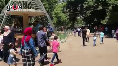 أسفل الأشجار والمظلات.. زوار حديقة الحيوان يحتمون من شمس الظهيرة (فيديو)