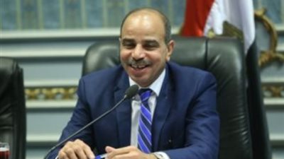 رئيس زراعة البرلمان يطالب بتشريع ينظم التخلص من مخلفات الذبح