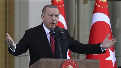 باحث: أردوغان يقدم الحماية لجميع حركات الإسلام السياسي عربيا وعالميا