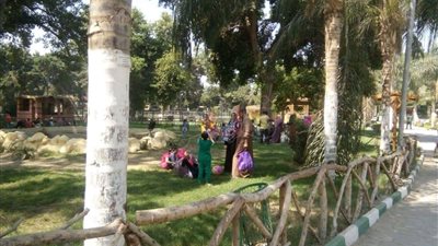 حملة مكبرة على المراسي النيلية بالقناطر وإعدام مواد غذائية مخالفة