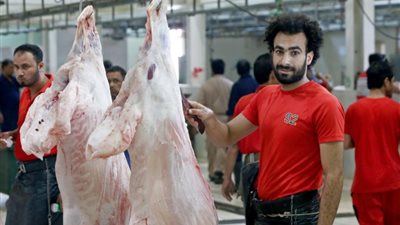 «سي إن إن» ترصد ظهور شبيه محمد صلاح في 