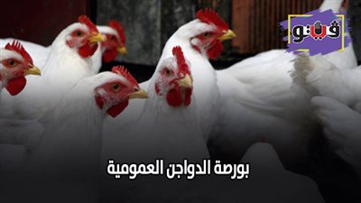 بورصة الدواجن العمومية | أسعار الدواجن اليوم الأربعاء 14/ 8/ 2019