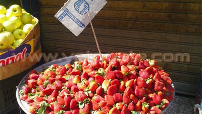 بالصور.. ثبات أسعار الخضراوات وارتفاع الأسماك والدواجن بالسيدة عائشة