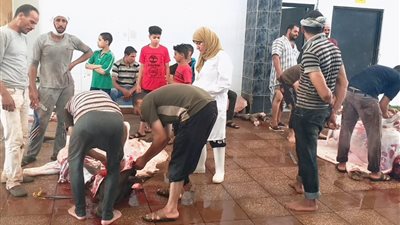 ذبح 388 أضحية بمجازر الوادي الجديد خلال عيد الأضحى