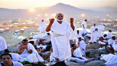 رئيس بعثة التضامن: تفويج 691 حاجا للمدينة المنورة لزيارة مسجد الرسول