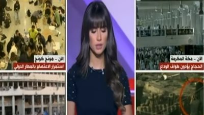 خبير عسكري: ضبط أسلحة ووثائق هامة في اعتصام رابعة (فيديو)