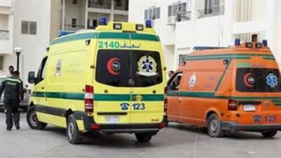 مصرع 4 أشخاص وإصابة 5 آخرين في حادثي تصادم بالجيزة