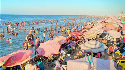 محافظ الدقهلية: العمل بمدينة جمصة على قدم وساق أيام عيد الأضحى