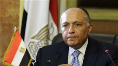 سامح شكري يبحث مبادلة الديون مع القائم بأعمال وزير المالية الألماني