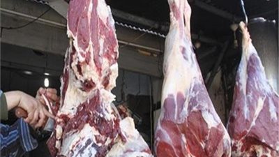 الجيزة: ذبح 1250 أضحية بمجازر المحافظة