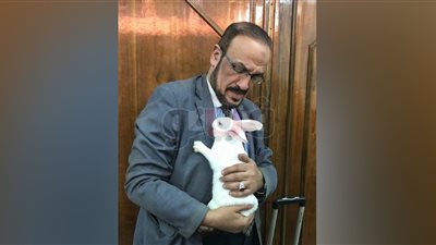 محام يحتج بـ«أرنب» في مجلس الدولة على استبعاده من الانتخابات