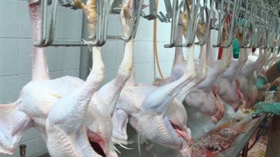 قبول طلبات 100 وظيفة للعمل بالسعودية براتب ومزايا مجزية.. الأحد